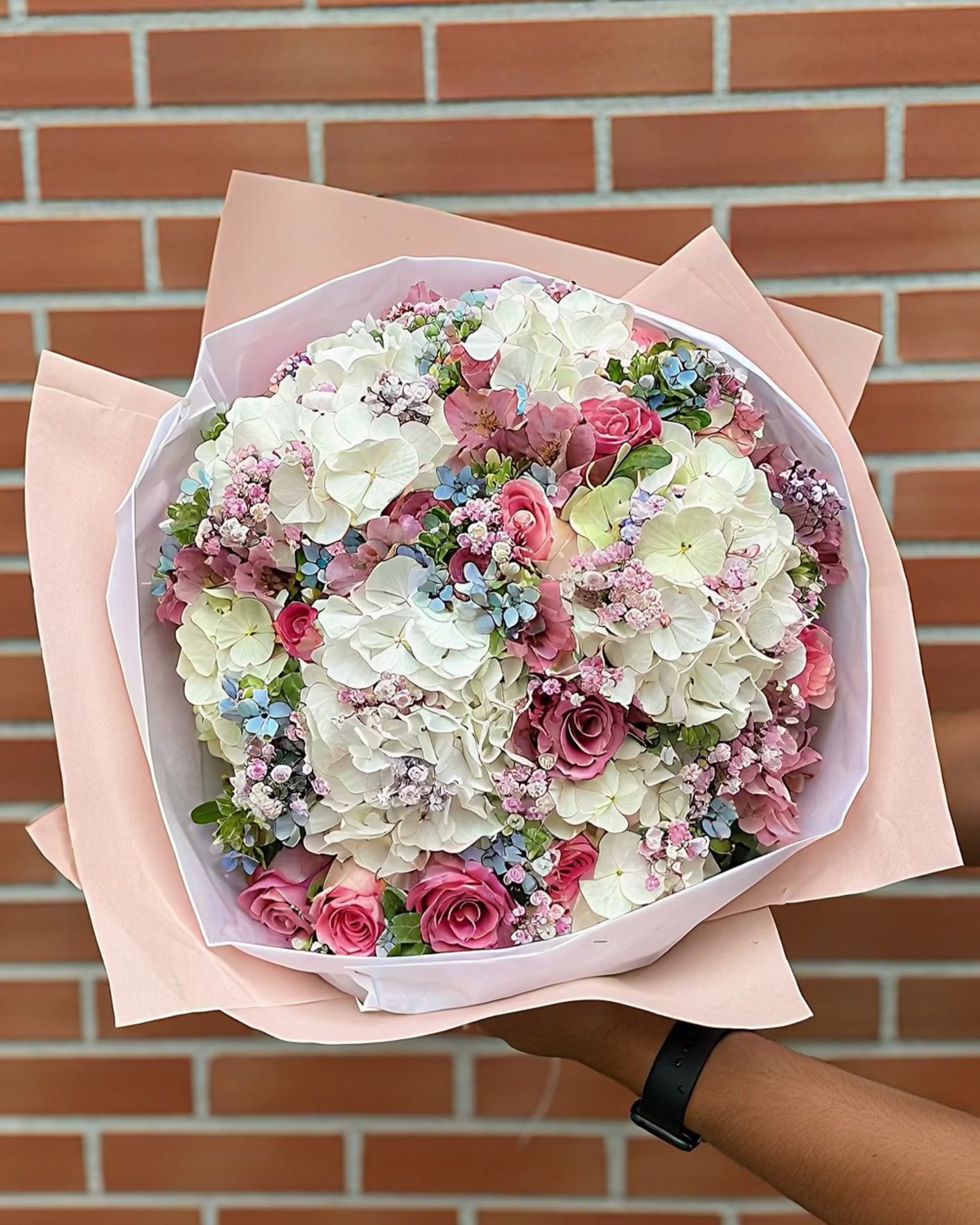 COTON EXPRESSION