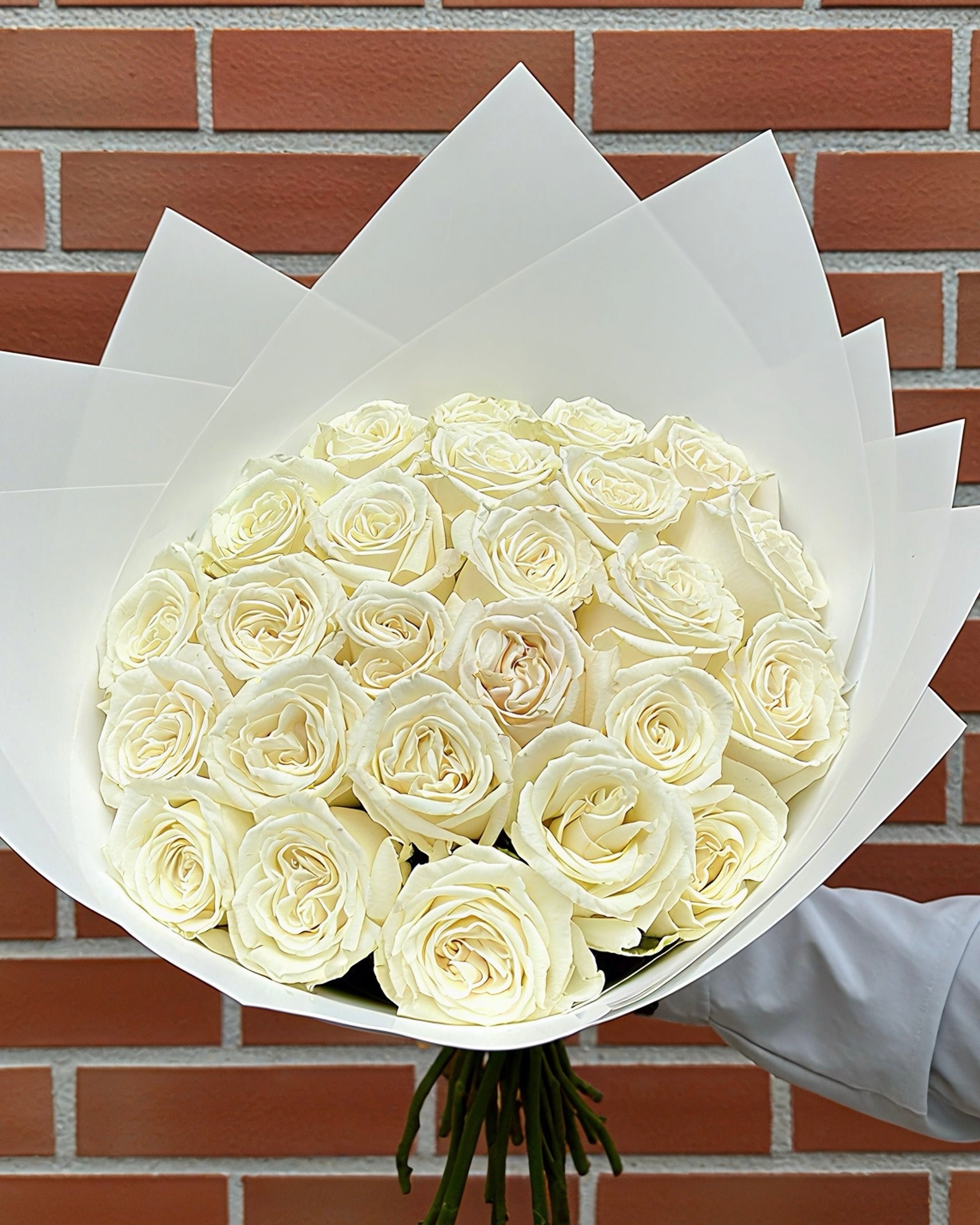 FULL WHITE