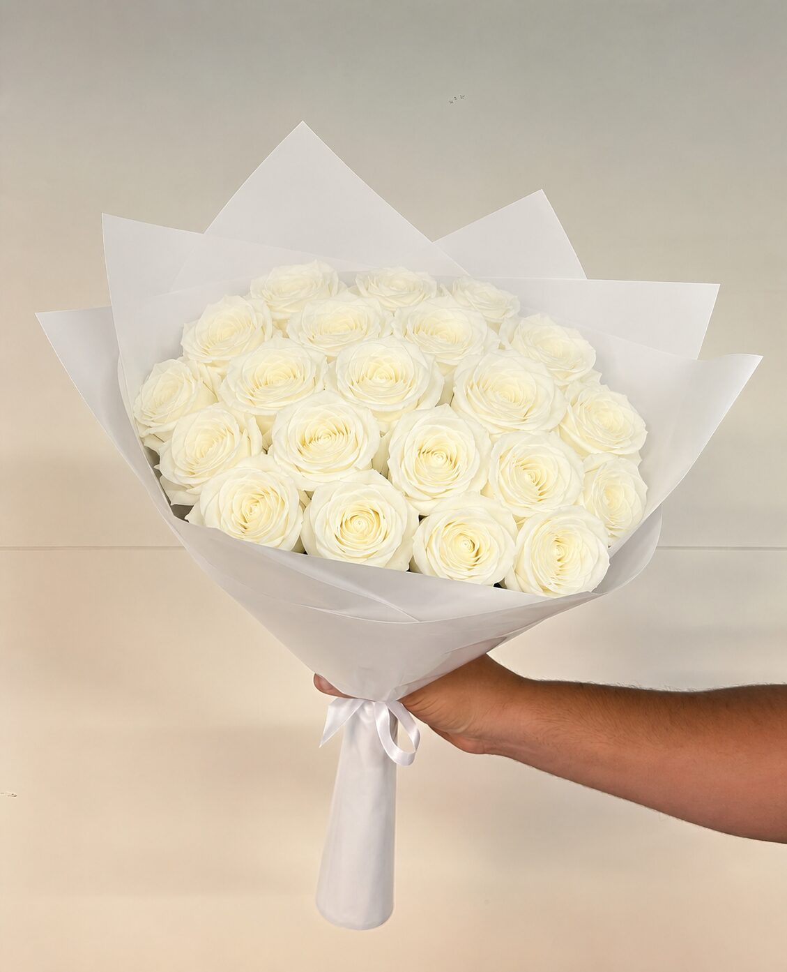 Roses Blanches